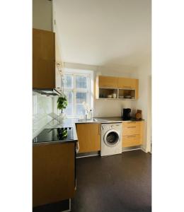 a kitchen with a sink and a washing machine at ApartmentInCopenhagen Apartment 1514 in Copenhagen
