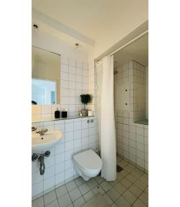 La salle de bains est pourvue de toilettes et d'un lavabo. dans l'établissement ApartmentInCopenhagen Apartment 1514, à Copenhague