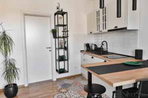Kuhinja ili čajna kuhinja u objektu SilverSea Apartman