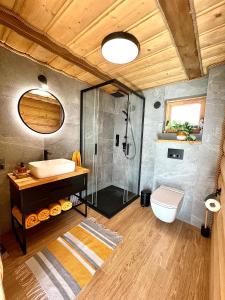 ein Bad mit einem Waschbecken, einer Dusche und einem WC in der Unterkunft Dreamland in Bodzentyn