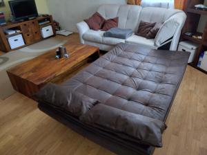 A seating area at Villa Mountain View with waterbed