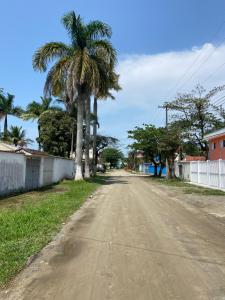 uma estrada vazia com uma palmeira no meio em Casa em Bertioga condomínio 250 metros da praia em Bertioga