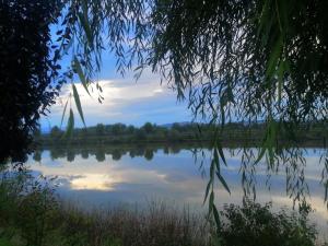 Imagen de la galería de COMPLEX AGREMENT BELLAVI, en Ocna-Mureşului 29 fotos más