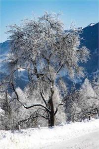 Kleine Alpenhütte in Lend neben der Salzach talvel