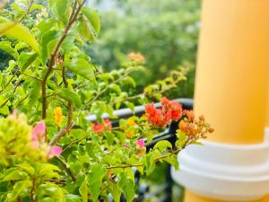 LILA Hotel & Apartments في مدينة هوشي منه: النباتات بالورود الحمراء بجوار عمود