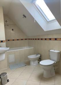 a bathroom with a toilet and a sink and a skylight at Apartamenty Staromłyńska in Szczecin