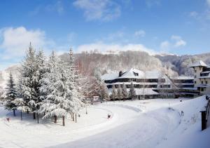 冬のGuesthouse Juniorの様子