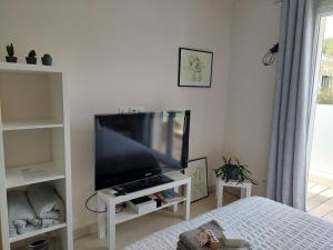 salon z dużym telewizorem z płaskim ekranem w obiekcie Chez Herve et Lydie w mieście Nans-les-Pins