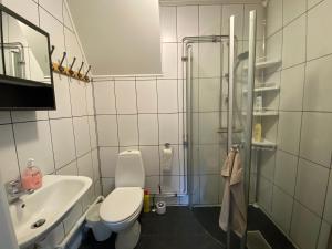 Koupelna v ubytování Welcome to two rooms apartment in central Tibro