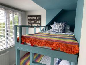 a bedroom with a bunk bed in a blue room at Neap Tide in Rye +15 photos