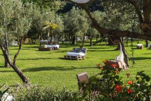 a park with chairs and trees in the grass at Agriturismo Costantino in Maida