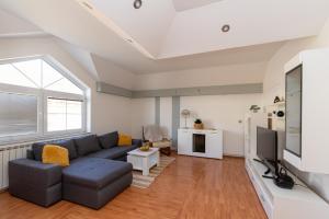 Televízia a/alebo spoločenská miestnosť v ubytovaní Apartman Lega - Daruvar