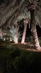 Giardino di Al Artaa Resort