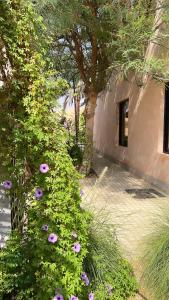 Giardino di Al Artaa Resort