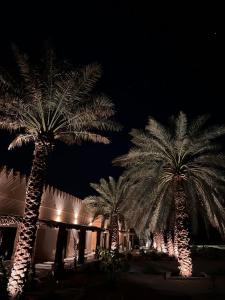 tre palme di notte di fronte a un edificio di Al Artaa Resort a Liwa