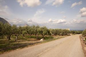 Fotografia z galérie ubytovania Casa Sciacchi v San Vite lo Capo