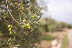 Fotografia z galérie ubytovania Casa Sciacchi v San Vite lo Capo