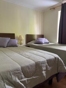 塔爾卡的住宿－El Centrito，一间卧室设有两张床和窗户。