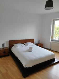 a bedroom with a white bed with a laptop on it at Le Thannois - appartement 2 chambres, salon, cuisine équipée, parking et wifi gratuit in Mulhouse