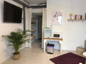 Televízia a/alebo spoločenská miestnosť v ubytovaní Gite cosy 25 min Lyon Vienne St Etienne