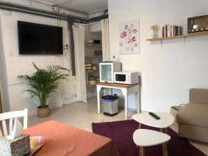 Televízia a/alebo spoločenská miestnosť v ubytovaní Gite cosy 25 min Lyon Vienne St Etienne