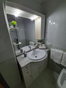 uma casa de banho com um lavatório e um espelho em APARTAMENTO CORTEGADA em Vilagarcía de Arousa