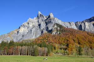 una montaña con follaje de otoño delante de un campo en Chalet Narcisse en Sixt