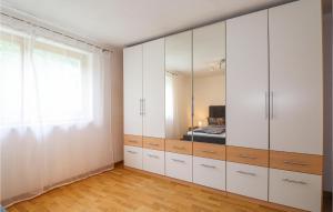 vestidor con armarios blancos y espejo en Amazing Apartment In Dalaas With Wifi en Dalaas