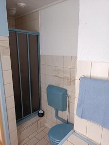 y baño con aseo azul y ducha. en Haus Bindseil - Ferienwohnung im EG, rechts, en Altenau