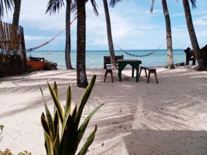 uma mesa de piquenique numa praia com palmeiras e o oceano em Seashore Inn em Siquijor