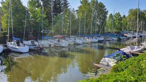 Táj Show holiday homes közelében