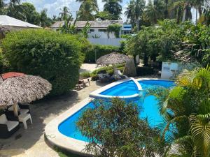 a resort pool with umbrellas and chairs and trees at El Cabarete Spa Resort all-Inclusive in Cabarete