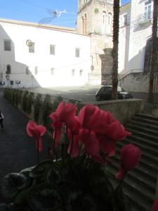 a bunch of pink flowers in front of a building at Il Guiscardo B&B in Salerno