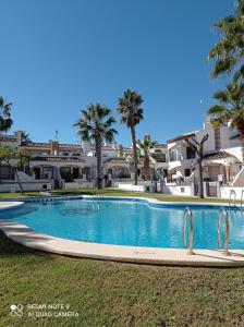 a large swimming pool with palm trees and buildings at TOWNHOUSE 1 minute walk to Villamartin plaza in Villamartin