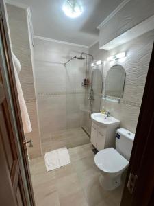 Un baño con ducha, inodoro y lavabo. en Gold Apartments, en Baia Mare 12 fotos más