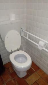 a white toilet sitting in a bathroom next to a sink at Agriturismo Bellavista in Radicondoli