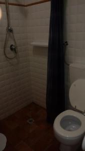 a bathroom with a toilet and a shower at Agriturismo Bellavista in Radicondoli