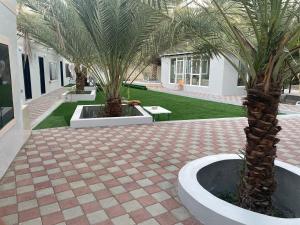 um pátio com duas palmeiras num edifício em Dar Alhamra INN نزل دار الحمراء em Al Hamra