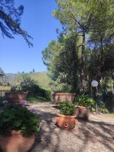 Aed väljaspool majutusasutust Antico Podere Il Bugnolo