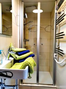 La salle de bains est pourvue d'une cabine de douche en verre. dans l'établissement Ferienwohnungen Birkleiten, à Bramberg am Wildkogel