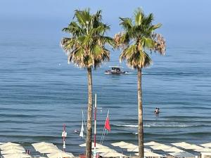 two palm trees on a beach with a boat in the water at Le Sirene Casa Vacanza in Torvaianica
