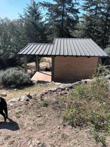 Fotografie z fotogalerie ubytování El Encuentro v destinaci Tanti