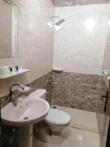 a bathroom with a toilet and a sink and a shower at Anubis kingdom Pyramids View in Cairo