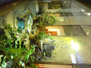 a room with a bunch of plants on a wall at Hua Yue Hotel in Taoyuan