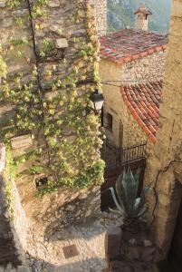 un bâtiment en pierre avec une plante qui y pousse dans l'établissement Auberge De La Madone, à Peillon