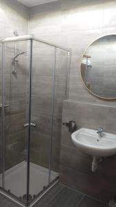 La salle de bains est pourvue d'une douche, d'un lavabo et d'un miroir. dans l'établissement Maxim Apartments Mainz, à Mayence