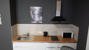 un bancone della cucina con lavello e forno a microonde di Maxim Apartments Mainz a Magonza