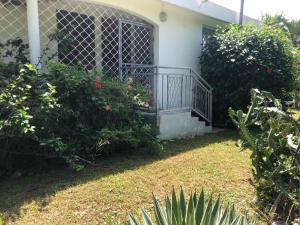Zahrada ubytování Jardin des Anges-Bungalows créoles et studio