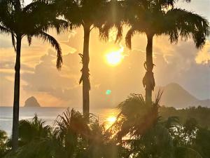 a sunset over the ocean with palm trees at SUPERBE STUDIO MARTINIQUE VUE ROCHER DU DIAMANT in Sainte-Luce