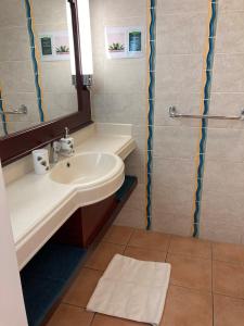 a bathroom with a sink and a shower at SUPERBE STUDIO MARTINIQUE VUE ROCHER DU DIAMANT in Sainte-Luce